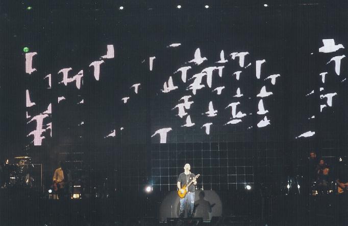 photo Immagine 216-.JPG